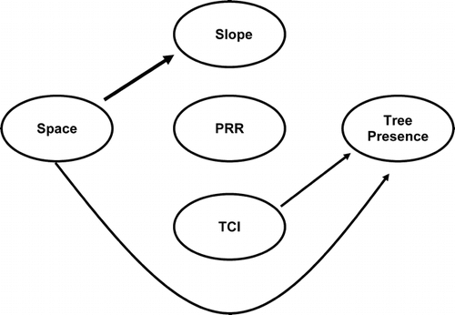 FIGURE 7. Results from Mantel's test for presence/absence data presented as a path diagram. Arrows indicate a significant effect. Magnitude of arrow represents strength of Mantel coefficient. The arrows to the left of the ecological variables indicate simple correlations, while the arrows to the right indicate partial correlations (compare to Table 1)