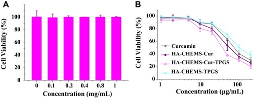 Figure 4 MTT assays. (A) Viability of 4T1 cell incubated with HA-CHEMS nanoparticles, with concentrations varying from 0 to 1 mg/mL. (B) Viability of 4T1 cell incubated with curcumin, HA-CHEMS-Cur NPs, HA-CHEMS-TPGS NPs and HA-CHEMS-Cur-TPGS NPs.