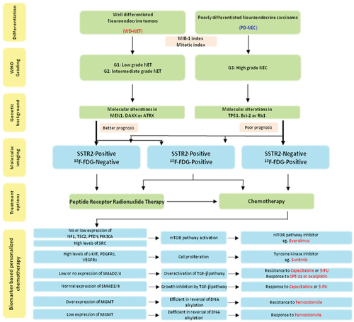 Figure 2. NEN assessment with correlated genomic and proteomic assessment with dual tracer PET/CT imaging for personalized management approach (Reproduced with permission from Basu et al [Citation28].