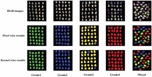 Figure 9. Visualization results of different moldy maize based on pixel and kernel wise.