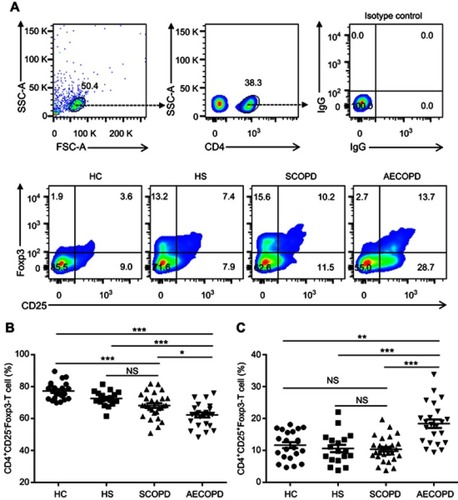 Figure 1 Frequencies of circulating CD4+CD25±Foxp3± T cells in different populations. Lymphocytes were gated on FSC-A versus SSC-A plots, and CD4+ T cells were identified based on their expression of CD4. (A) Representative flow cytometric dot plots of CD4+CD25−Foxp3− T cells, CD4+CD25+Foxp3− T cells, CD4+CD25+Foxp3+ T cells and CD4+CD25−Foxp3+ T cells within CD4+ T cells in healthy subjects (HC), asymptomatic smokers with normal lung function (HS), patients with stable COPD (SCOPD) and patients with acute exacerbation of COPD (AECOPD). Comparisons of CD4+CD25−Foxp3− T cells (B) and CD4+CD25+Foxp3− T cells (C) percentages in peripheral blood from HC (n=22), HS (18), SCOPD (n=28) and AECOPD (n=24) patients. Horizontal bars indicate means ± SEM. *p<0.05, **p<0.01, ***p<0.001.