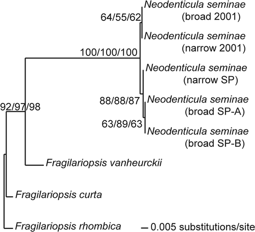 Fig. 56. Phylogeny of Neodenticula seminae and Fragilariopsis species inferred from maximum likelihood analysis of internal transcribed spacer regions of the nuclear ribosomal DNA. Numbers show bootstrap values obtained by maximum parsimony, neighbor joining and maximum likelihood analyses, respectively.
