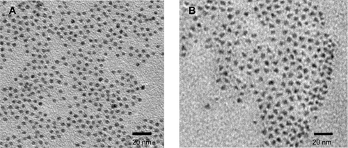 Figure S2 TEM graphs of CdSe core (A) and CdSe/ZnSe/ZnS core/shell/shell (B) QDs.Abbreviations: TEM, transmission electron microscopy; QDs, quantum dots.