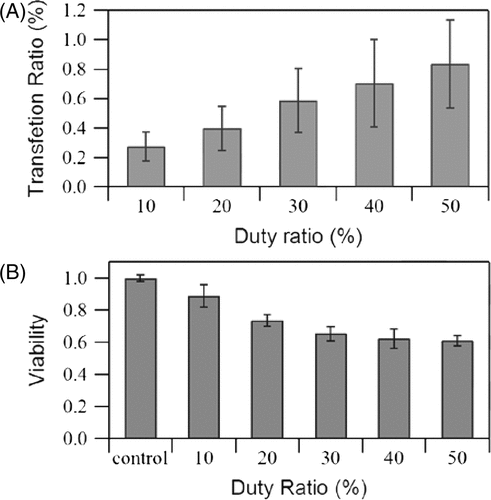 Figure 7. Effects of duty ratio on (A) GFP transfection rate and (B) cell viability measured immediately after exposure. US intensity 4.94 W/cm2, pulse repetition frequency 5 kHz, insonation time 60 s, microbubble concentration 10%. The data is averaged from three independent replicates (12 samples) and shown as the mean ± standard deviation.