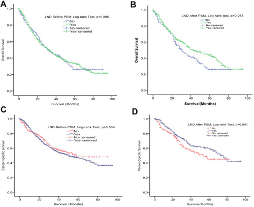 Figure 1 Kaplan–Meier curves of OS and CSS according to whether or not LND has been done for patients with T3-T4 laryngeal cancer. (A and B) the OS of patients before and after PSM. (C and D) the CSS of patients before and after PSM.