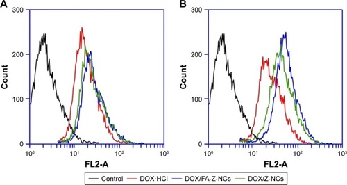 Figure 4 Flow cytometry results of time-dependent DOX signal changes.Note: (A) 2 h and (B) 24 h.Abbreviations: DOX, doxorubicin; DOX·HCl, doxorubicin hydrochloride; FL2-A, fluorescent signal of DOX; FA, folic acid; NCs, nanocapsules.