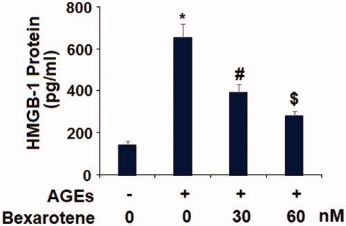 Figure 4. Bexarotene inhibits AGE-induced secretions of HMGB-1. Secretions of HMGB-1 were determined by ELISA (*, p < .01 vs. vehicle group; #, p < .01 vs. AGE group; $, p < .01 vs. AGE + 30 nM bexarotene, n = 6).