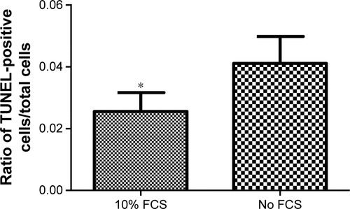 Figure S2 Serum starvation to induce apoptosis.