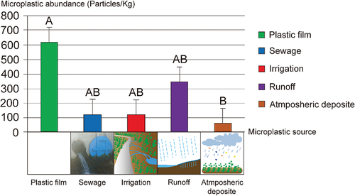 Figure 4. Box plot of soil microplastic (MP) abundance from different sources, such as: plastic films, sewage, irrigation, runoff, and atmospheric sediments. Identical capital letters (AB, AB) indicate no statistical difference in MP abundance between microplastic sources.