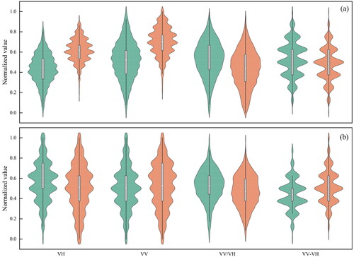 Figure 8. Feature values of backscatter coefficients for bamboo and nonbamboo forests in different areas. (a) Sentinel-1 backscatter coefficient features in bright areas, (b) Sentinel-1 backscatter coefficient features in shadow areas. The horizontal axis represents the four backscatter coefficient features of Sentinel-1 SAR images, and the vertical axis represents the features normalized by the min–max method. In the violin box plot, the white point is mean, and the green and orange represent the bamboo forest and nonbamboo forest samples, respectively.