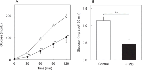 Figure 5. The effects of IMD on glucose absorption in vitro. Glucose transport of everted rat intestinal sac was evaluated. Glucose concentration (0–120 min) (a) and total glucose (120 min) (b) of serosal side were compared between groups without IMD (control group) and with IMD (test group) of KRB buffer solution around sac. ○ or white bar: no IMD added, ● or black bar: IMD added. **Significant vs control group (p < 0.01).