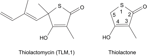 Figure 1.  Structures of thiolactomycin (TLM, 1) and thiolactone.