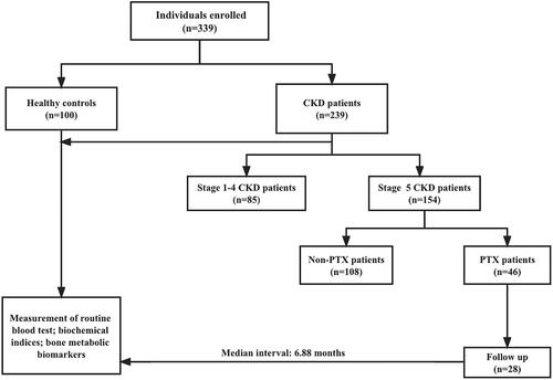 Figure 1. Flow diagram of the study.