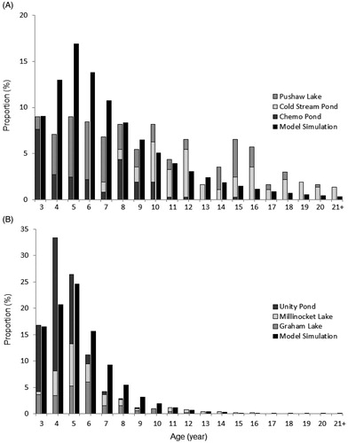 Figure 2. Comparison of actual and model data age structures of White Sucker populations (a) closed to harvest and (b) open to harvest. The field data in panel A consist of three unfished lakes combined, and the field data in panel B consist of three fished lakes combined (F = 0.466; see Begley et al. Citation2017). Gray bars represent actual data, black bars represent model data.