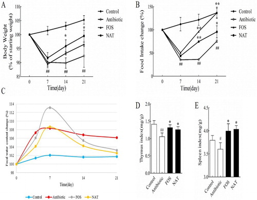 Figure 1. NAT showed remarkable effects on metabolism homeostasis and organism immunity (A) body weight, (B) food intake changes, (C) fecal water content (%), (D) thymus index and (E) Spleen index. Data are presented as mean ± SEM. #P < .05, ##P < .01 indicates significant difference from the control group; *P < .05, **P < .01 indicates significant difference from the AB group.