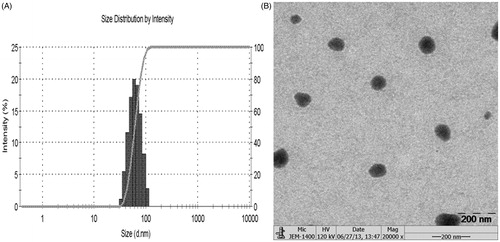 Figure 2. Physical characterization result of AE-SLNs. (A) The particle size distribution of AE-SLNs. (B) Transmission electron microscopy of AE-SLNs.