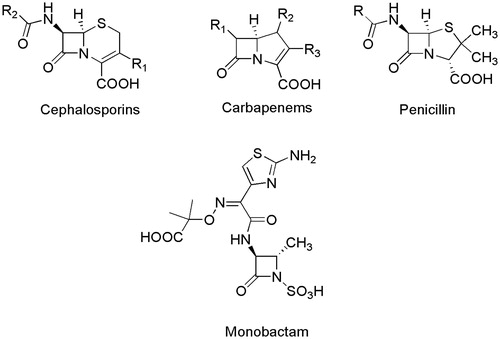 Figure 1. Structure of commonly used β-lactam antibiotics.