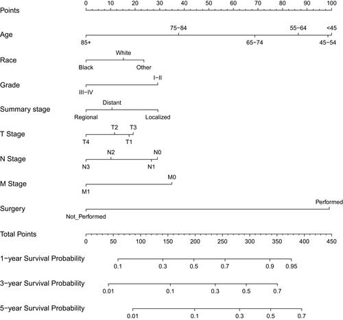 Figure 5 Nomogram to predict 1-, 3-, and 5-year overall survival of patients with adenocarcinoma of the esophagogastric junction (AEJ).