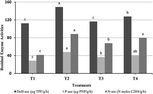 Figure 9. The enzyme activities in soil.