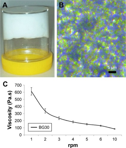 Figure 6 Characterization of BG30: (A) BG30 formulation obtained after mixing carbopol hydrogel and almond oil organogel; (B) optical microscopy of BG30 at 40× (Leica DMC2900); (C) effect of shearing on the viscosity of BG30 formulation.