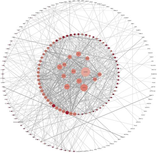 Figure 6 Protein-protein interaction (PPI) network for co-expressing genes: The key proteins in the interaction network have potential significance for further study.