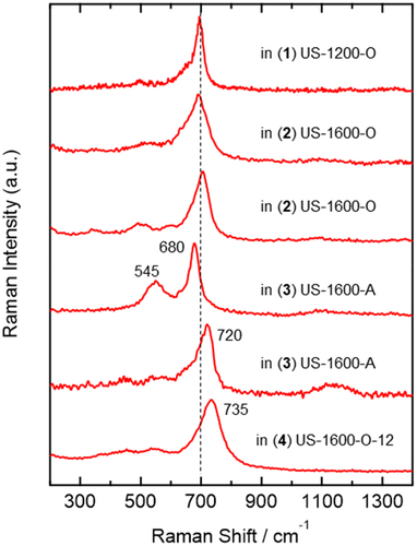 Figure 4. Representative some examples of the nonaveraged (single-point) Raman spectra of chemical components assignable to spinel oxides, observed in the 1–4 U-SUS simulated debris.