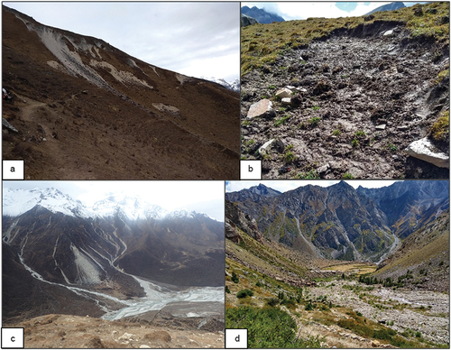 Figure 8. (a) Thaw slumps in the lower permafrost zone in Langtang (~4,000 m a.s.l.) located between frequently used herder huts. (b) Thaw slump close to a hut in Humla. (c) One of the bigger transhumances in Langtang, threatened by debris flows from higher areas on the left and right, now lies abandoned, with the main river arm below. (d) Typical yak grazing grounds in Humla at the lower margin of permafrost occurrence.