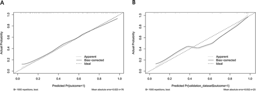 Figure 8 Calibration curves of the Model 2 nomogram prediction. The y-axis meant the actual diagnosed DR. The x-axis meant the predicted risk of DR. The diagonal dotted line meant a perfect prediction by an ideal model. The solid line represented the performance of the training set (A) and validation set (B), which indicated that a closer fit to the diagonal dotted line represented a better prediction.