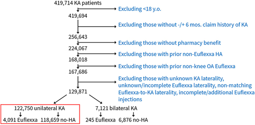 Figure 1 Patient attrition flowchart.