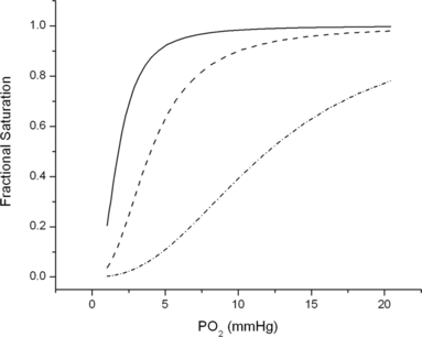 Figure 2 Oxygen binding curves of HbA (-----) and of the mutant hemoglobin β(V1M + H2deleted + T4I + P5A + V76K) in the absence (— — —) and in the presence (· · · ·) of 100 mM Cl−. Buffer: Hepes 100 mM. Temperature, 25˚C.