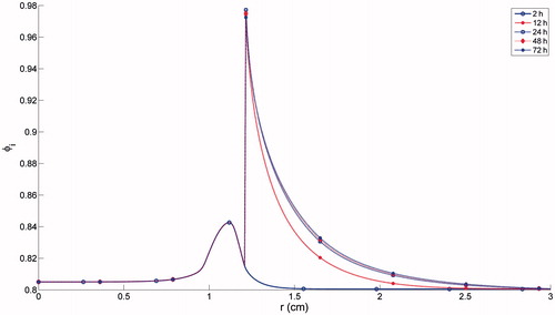 Figure 5. Simulation result of volume fraction of intracellular space.