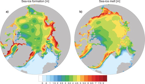 Fig. 6 In (a) seasonal (October–March) sea-ice formation in m/season averaged over the period 1968–2011 (the sea-ice formation includes frazil and basal ice production) and (b) the seasonal (April–September) sea-ice melt m/season.