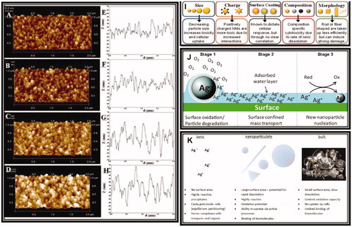 Figure 4. AFM characterization of surface topography and nanoroughness of different TiO2 films. (A–D) Representative height maps in three-dimensional view of ns-TiO2 films with increasing thickness (50, 100, 200, and 300 nm); (E–H) Representative surface profiles exhibiting variations in Rq, Aspec, correlation length, skewness, and kurtosis, as well as in pore width and depth distributions, as discussed in the main text. (I, J) Proposed pathway for new particle formation from parent (nano) particles. (K) Main differences between ionic, nanoparticulate, and bulk silver. Reproduced with permission from Glover et al. (Citation2011), Singh et al. (Citation2011b), Reidy et al. (Citation2013), and Hussain et al. (Citation2015).