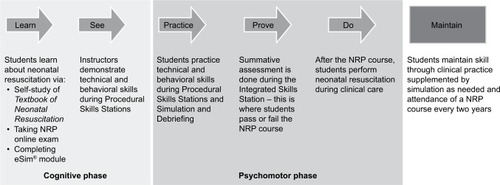 Figure 1 LSPPDM pedagogy applied to the Neonatal Resuscitation Program (NRP) curriculum.