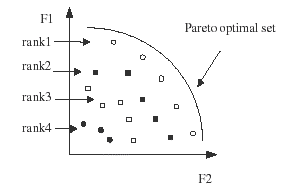 FIGURE 1 Population ranking for a two-dimensional maximization problem.