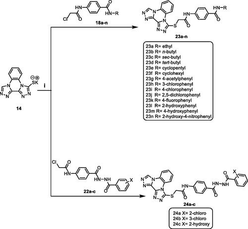 Scheme 3. Synthetic pathway for compounds 23a–n and 24a–c; Reagents and conditions: (i) DMF/KI/reflux/6 h.