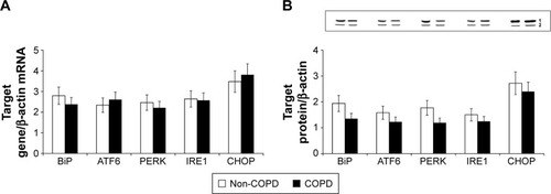 Figure 2 UPR mRNA and protein expression in PBMC of non-COPD and COPD subjects.