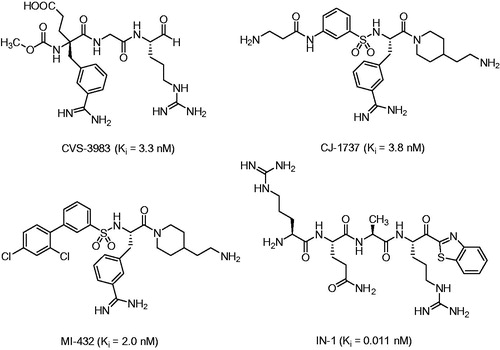 Figure 1. Matriptase inhibitors used in tumor models in mice and various cell culture assays.
