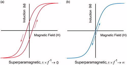 Figure 1. The magnetisation versus field response of a superparamagnetic material at (a) high driving-field frequencies and (b) very low frequencies.