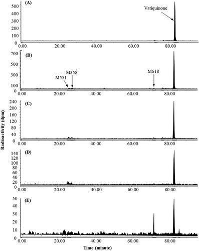 Figure 2. Representative HPLC radio-chromatograms of 2 h (A), 4 h (B), 8 h (C), 12 h (D), and 24 h (E) plasma from intact rats following a single 300 mg/kg oral dose of 14C-vatiquinone.