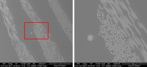 8 Cross-section of GRP sample with embedded optical fibre single sided exposed to sea water at 120°C for 9 h at a 80 ×  and b 300 ×  magnification