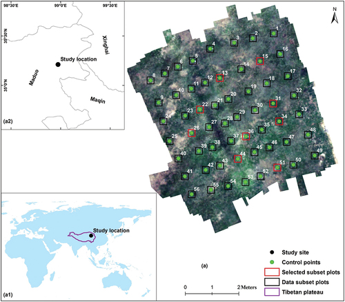 Figure 1. Location of the study site. (a) UAV color composite image (RGB bands 52, 25, and 7 composite) taken on 19 August 2019, at the study site. The numbers in the image show the control points, the black boxes in the image are the all-subplot boxes, and the nine red boxes are the selected representative data plots shown in Figure 4. (a1) Global-scale location of the study site. (a2) location of the study site on the local scale on the QTP.