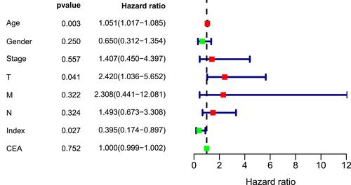 Figure 8 Multivariate Cox regression analysis of clinical factors in nomogram.