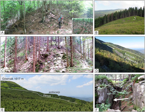 Figure 6. Rock slope failures in the Babia Góra Massif. (A) Front of a complex flow-like rockslide in the Barańcowy stream valley. Angular sandstone debris at the surface of a flow-like landform. (B) Tilted translated block of the Markowe Szczawiny rockslide. (C) Distinct, 30 m high front of the Szeroki Żleb rock avalanche. (D) Debris field of the Kościółki rock avalanche. (E) Rock slope deformations (RSD) at Zimna Dolinka site. (F) Extensional trench with the entrance to the Złota Studnia crevice-type cave in the upper part of the Hlasna rieka RSD.