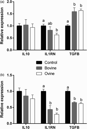 Figure 3. Effect of treatment of ovine monocytes (a) and neutrophils (b) with WSE obtained from ovine and bovine yoghurt on the expression of Interleukin-10 (IL10), Interleukin-1 Receptor Antagonist (IL1RN), and Transforming Growth Factor-β1 (TGFB1). Values are means ± SE. Differences between columns labeled with different letters are statistically significant at P < .05. All comparisons between groups were conducted by one-way ANOVA using Tukey's HSD post hoc test, except for IL1RN in neutrophils (b) where Welch's test with Dunnett's T3 post hoc was used due to a departure from homogeneity.