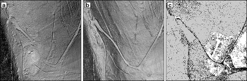 Figure 3. Raster layers used for forest road vectorisation: (a) DTM; (b) Slope; (c) Pulse intensity.