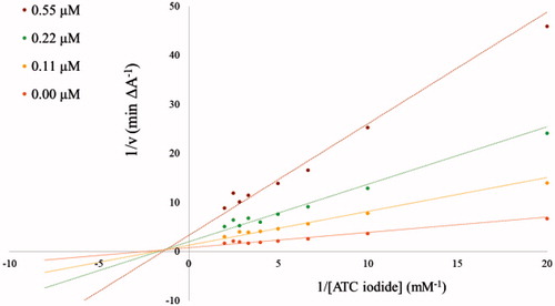 Figure 1. Lineweaver–Burk plots of the AChE inhibition by compound 3b at different concentrations as indicated in the insert. All measurements were performed with 2 U/ml AChE at the shown substrate concentrations.