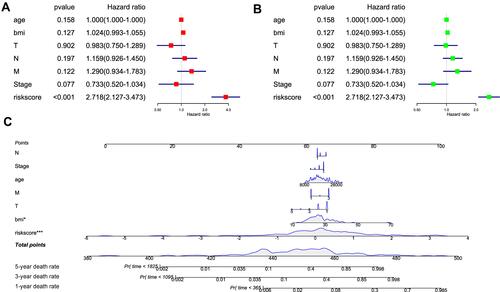 Figure 10 Independent analysis and construction of nomogram. (A) Univariate regression analysis of risk score and other clinical characteristics. (B) Multivariate regression analysis of risk score and other clinical characteristics. (C) Nomogram is constructed to evaluate the 1-year, 3-year and 5-year survival rate of CC patients. *P < 0.05, ***P < 0.001.