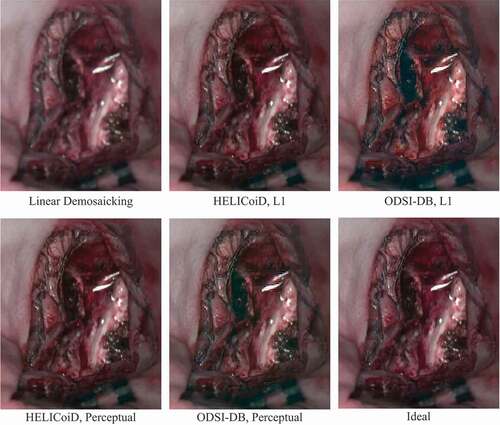 Figure 3. Comparison between the sRGB images converted from the ideal hyperspectral cube and demosaicked results from linear interpolation and supervised learning models.