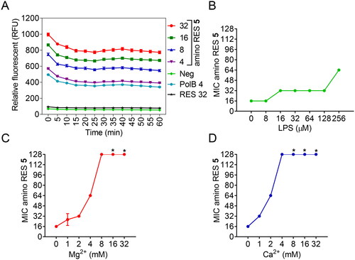 Figure 4. Activity of amino RES derivatives on the outer membrane of E. coli LMG8224. A) Outer-membrane permeabilization by different amino RES 5 concentrations (µM). RES 32, resveratrol control at 34 µM, PolB polymyxin B positive control at 4 µM. Neg, negative control. RFU, random fluorescence units. Effect of the outer membrane main component LPS (B) and the outer membrane stabilising agents Mg2+ (C) and Ca2+ (D) on the antimicrobial activity of amino RES 5. For the points labelled with *, the MIC was higher than 128 µM.